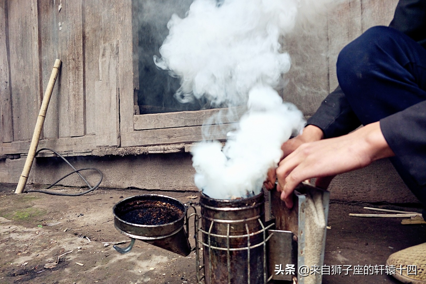 探尋養蜂人，取蜂蜜要用煙熏