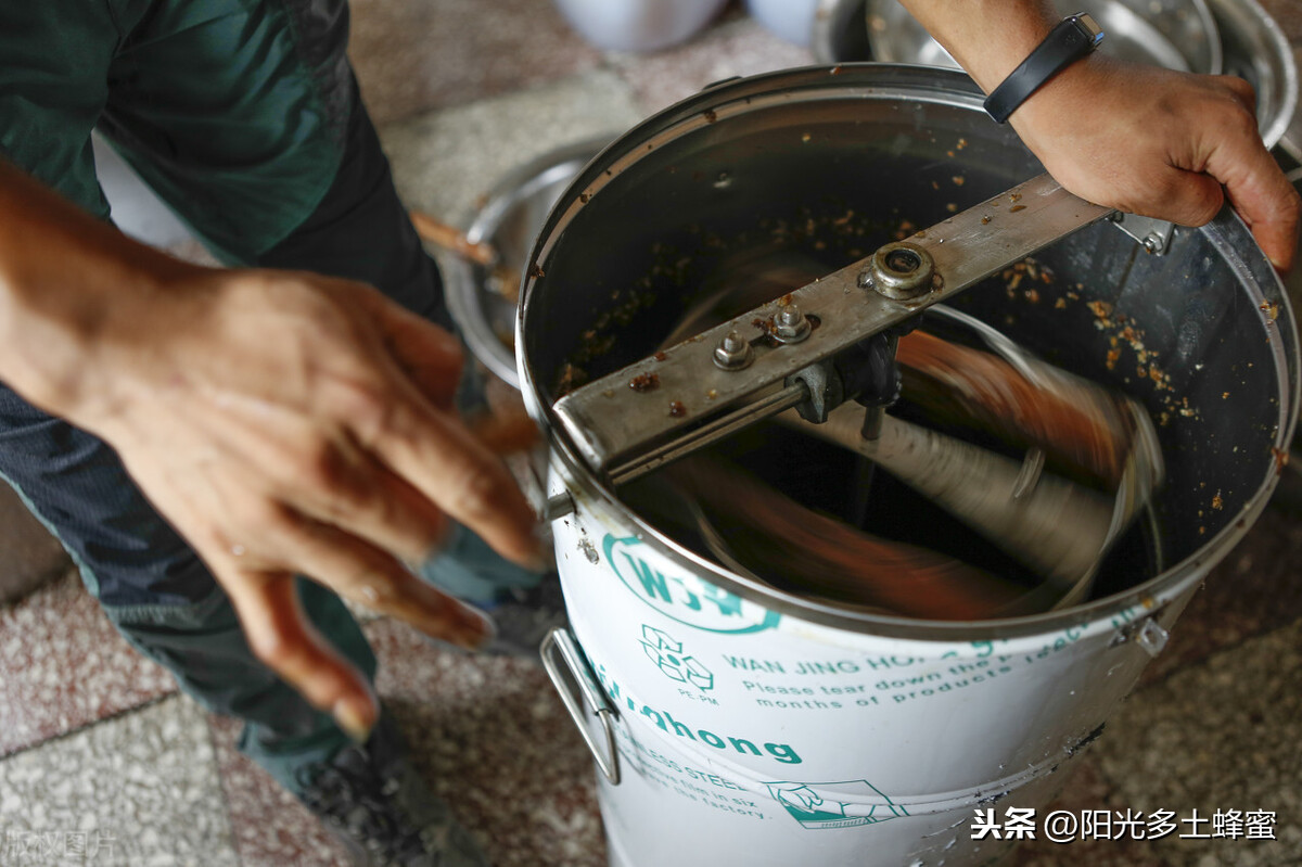 你試過刮脾取蜜嗎？它真的優于搖蜜機取蜜嗎？