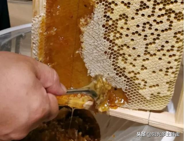 你試過刮脾取蜜嗎？它真的優于搖蜜機取蜜嗎？