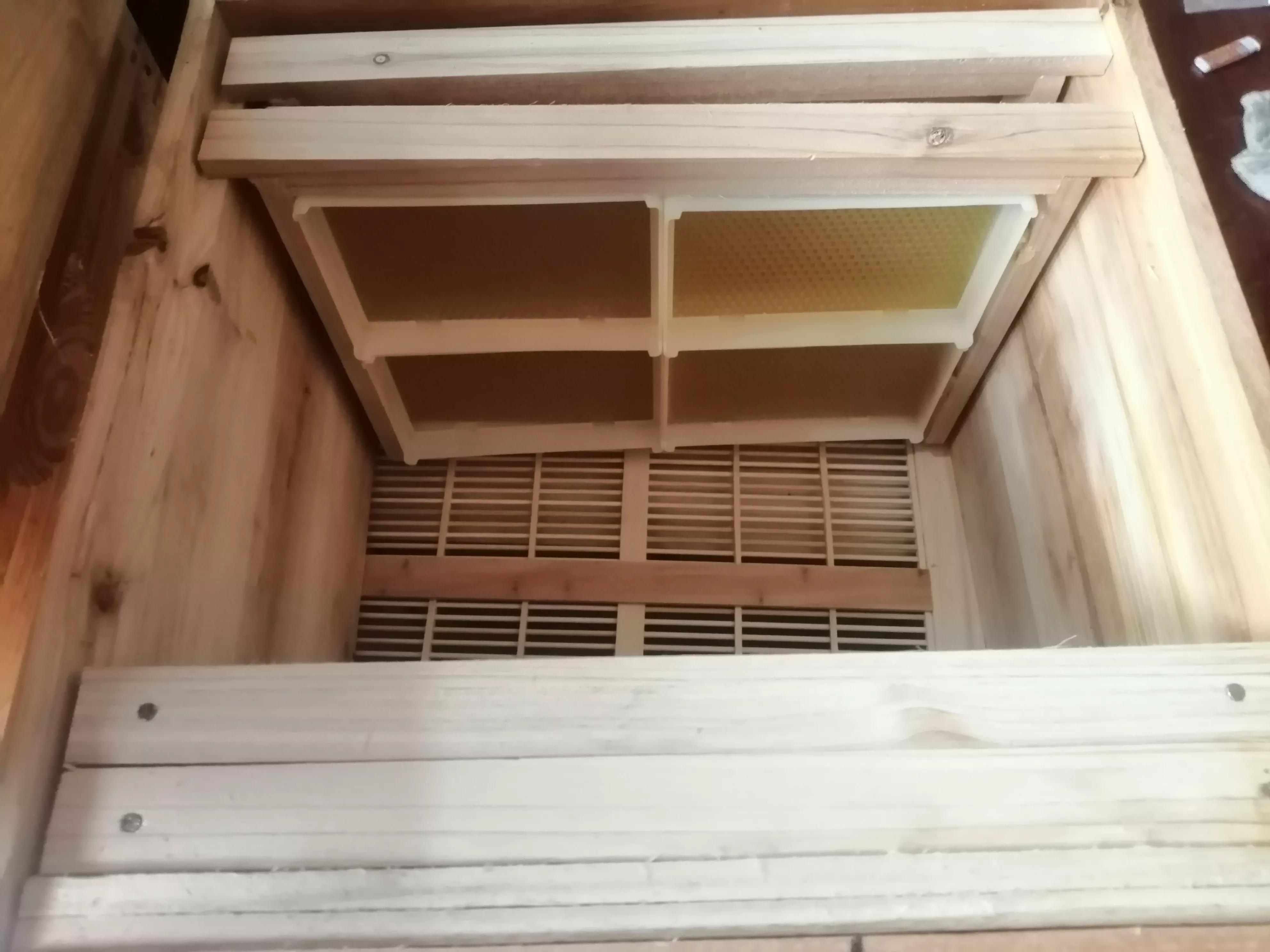 剛收回來的巢窩蜜蜂，如何防止仔脾出房后產生飛逃