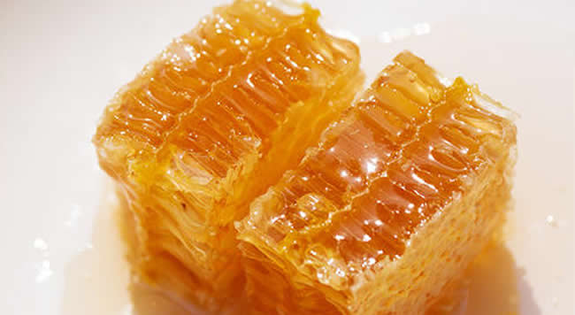 中蜂能產巢蜜