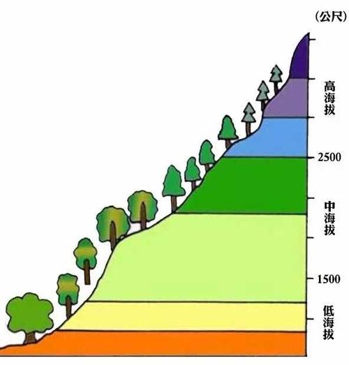 如何判斷蜜源地的優劣（蜜源地好壞的判斷標準）