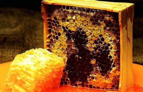 蜜蜂多少錢(qián)一箱