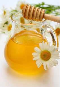 枇杷蜜和桂圓蜜哪個(gè)好（枇杷蜜和桂圓蜜的對(duì)比）