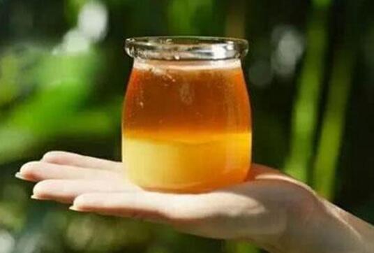虎頭蜂酒真的能壯陽(yáng)嗎（虎頭蜂酒怎么喝）