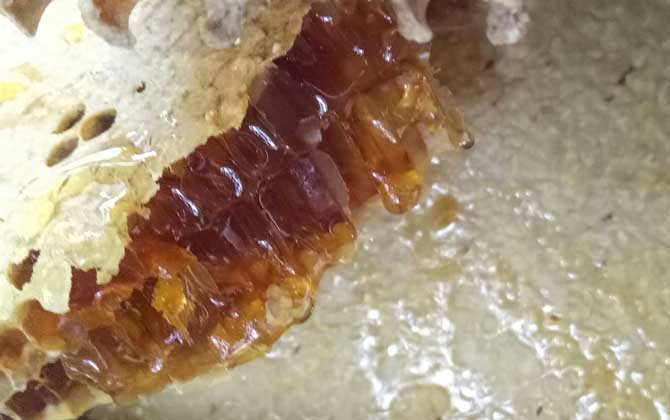 蜂蜜價格多少錢一斤？因蜂蜜種類的不同，蜂蜜價格也千差萬別！
