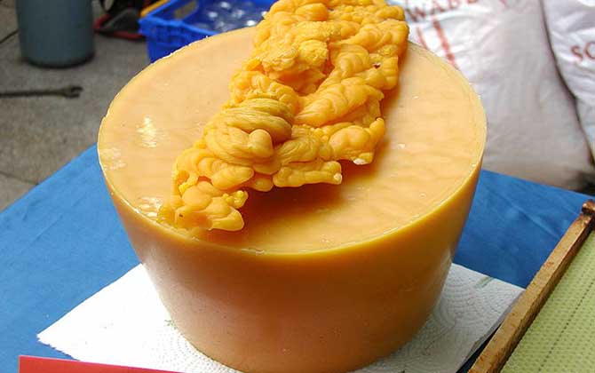 蜂蠟能吃嗎？雖然嚼不爛，也沒什么味道，但營養(yǎng)價值卻不可小噓！
