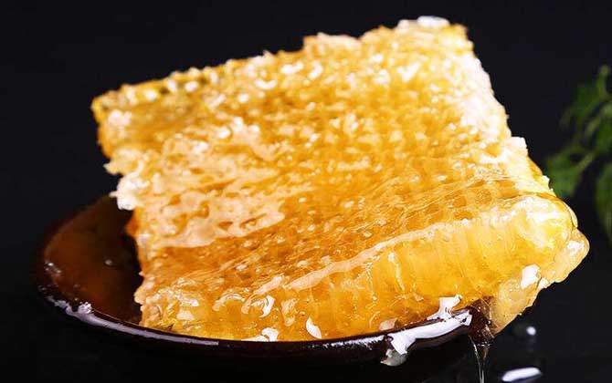 蜂巢蜜和土蜂蜜哪個好？并沒有定論，實際上土蜂也能釀制蜂巢蜜！