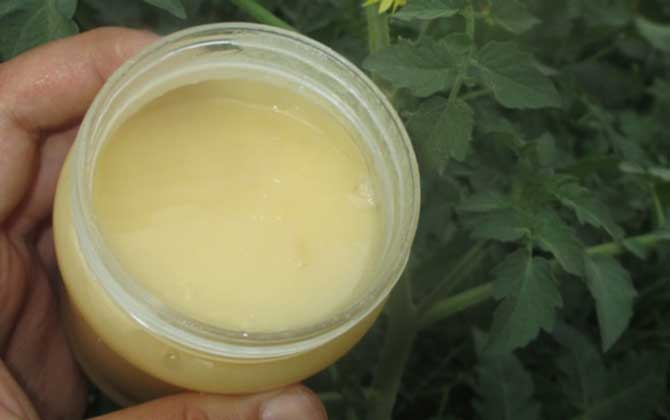 用蜂蜜怎樣去眼部皺紋？