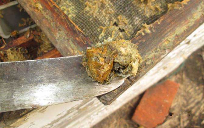 男人長(zhǎng)期吃蜂膠有什么副作用？