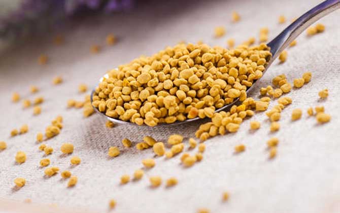 茶花粉怎么吃效果最好？