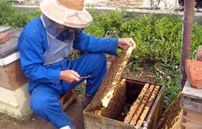 孫紅亮：養蜂釀出脫貧致富新生活